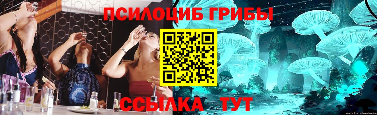 Междуреченск  Псилоцибиновые грибы мухоморы  Вход с VPN 