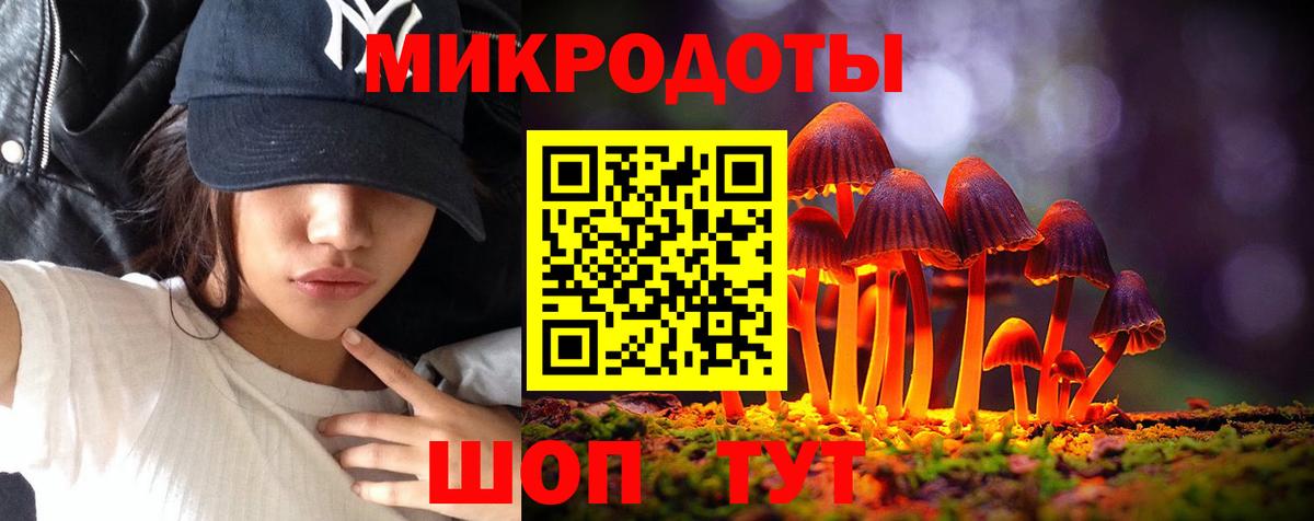 Псилоцибиновые грибы Psilocybe Междуреченск